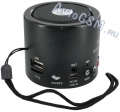   Wster WS-138RC -  4,     , USB-, microSD-, LED-,  , ,     