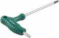 Jonnesway H20MT25   T-TORX  , 25